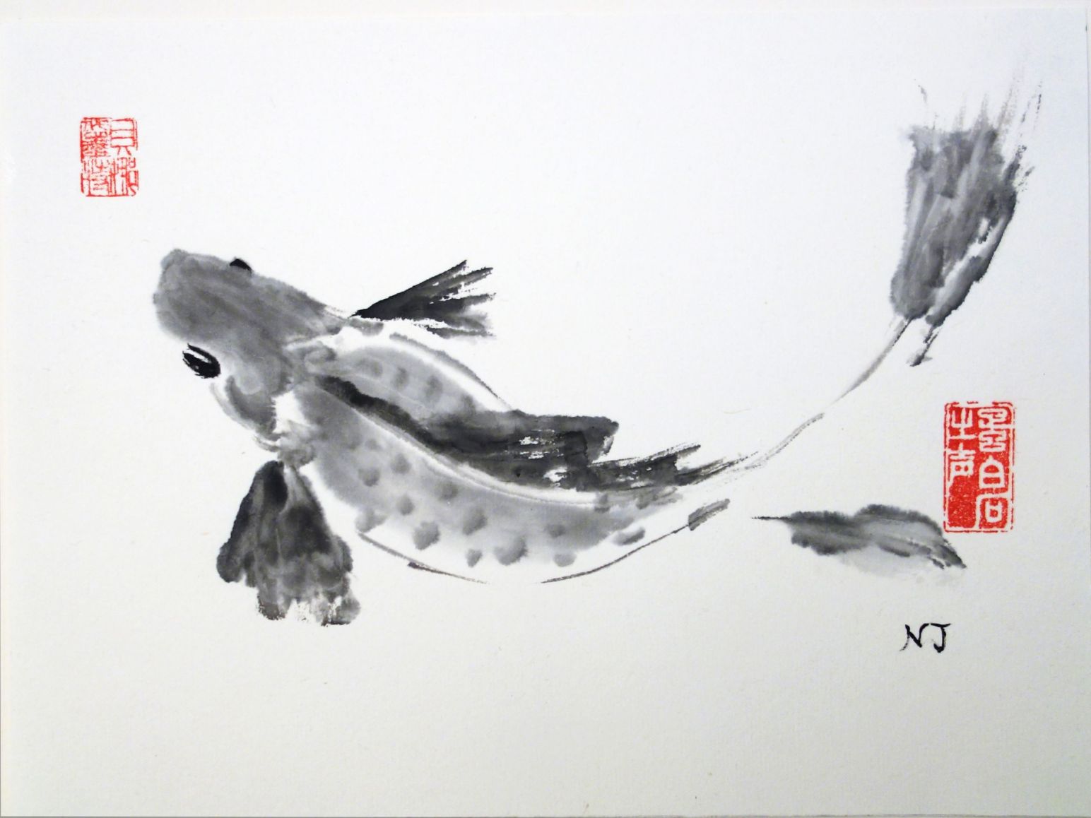 poisson d'argent